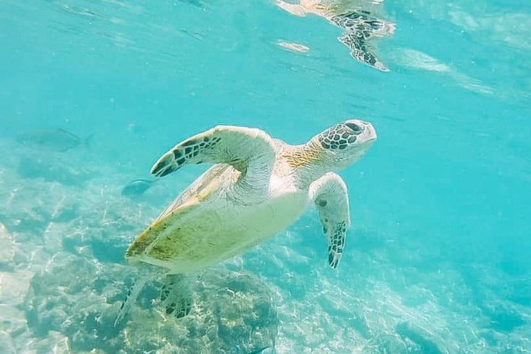 Daymaniyat Snorkeling with Photography & Onboard Ambience