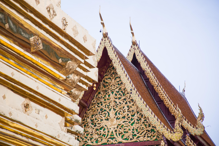 Chiang Mai: Monk's Trail Hike, Wat Pha Lat & Doi Suthep Tour Small Group Tour