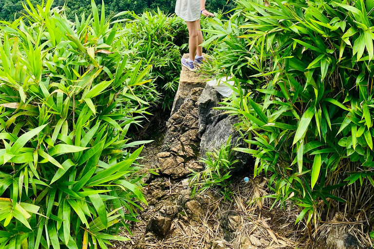 Half day Hiking Cat Ba National Park With guide