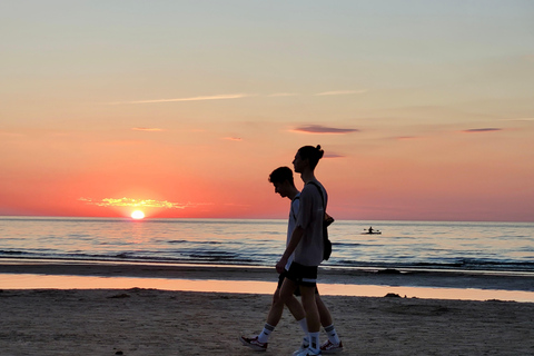 Ķemeri Great Bog With Optional Sunrise & Jūrmala Visit Ķemeri Bog Shared Small Group Tour