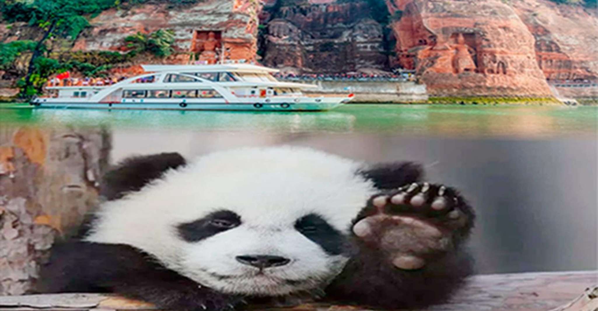 Chengdu panda & Leshan Buddha One Day Private Tour - Hizvo