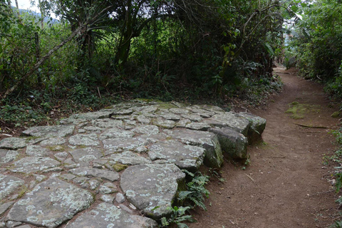 Oförglömlig natur: Tijuca Forest &amp; Jardim Botânico Tour