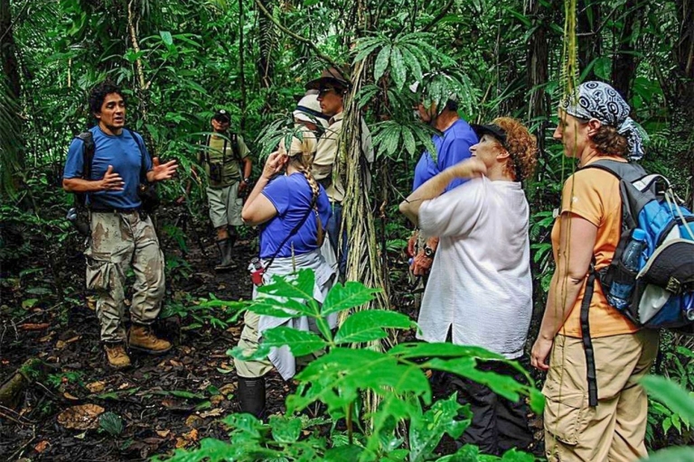 Manaus: 2-, 3- of 4-daagse uitstap Amazone in Anaconda Lodge4 dagen & 3 nachten: privékamer met ventilator en badkamer