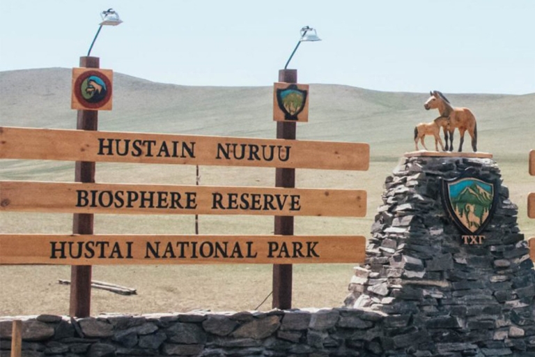 Excursion d'une journée dans le parc national de Khustai