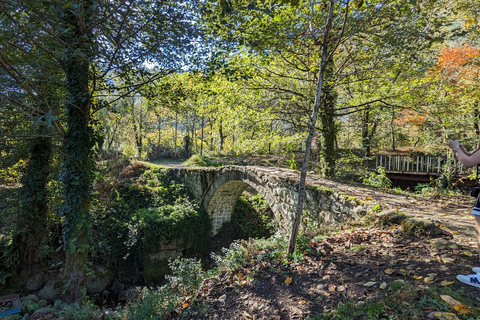 Cascada de Gonio Makhuntseti Degustación de vinos de la familia localMakhuntseti