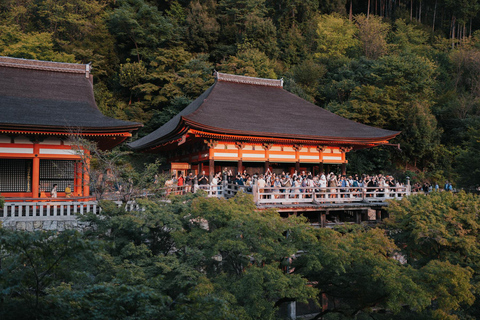 Z Osaki: świątynie Kioto i Park Jeleni w Nara – wycieczka w małej grupieŚwiątynie Kioto i Park Jeleni w Nara – wycieczka w małej grupie z Osaki