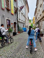 Ljubljana Sightseeing Tour by E-bikes - Housity