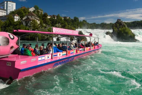 De Zurique: Cataratas do Reno e Stein am Rhein - Viagem de 1 dia privada