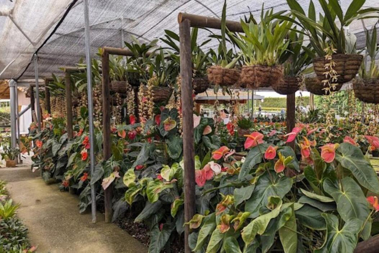 Medellin: Eastern Adventure, Magical Villages, Orchids, and Landscapes