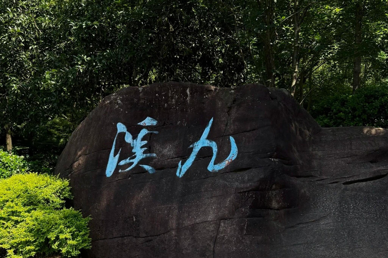 Hangzhou: Hike from Longjing Tea Village to Nine Creeks Group Tour