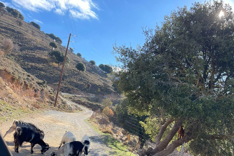 Crète : Safari en Jeep avec déjeuner, boissons et transfertSafari en jeep semi-privé avec déjeuner, boissons et transfert