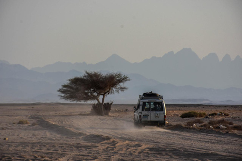 Hurghada: Fyrhjuling, buggy, jeepsafari, kamelridning och middagupphämtning från hotell i hurghada