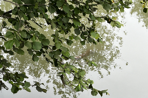 Weimar: Creative city walk "Free views and wild thinking" "Free Looks & Wild Thinking – A Creative City Walk Through Weimar"