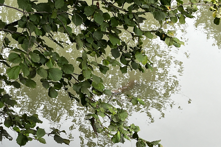 Weimar: Creative city walk "Free views and wild thinking" "Free Looks & Wild Thinking – A Creative City Walk Through Weimar"