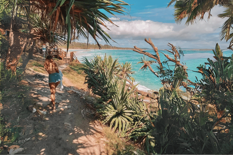 Isola di North Stradbroke: Escursione di un giorno con la fauna selvatica e la spiaggia8:30 YHA Brisbane City Servizio di prelievo