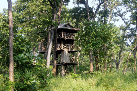 3 Nachten Chitwan Avontuur met 1 Nacht Jungle Toren Verblijf