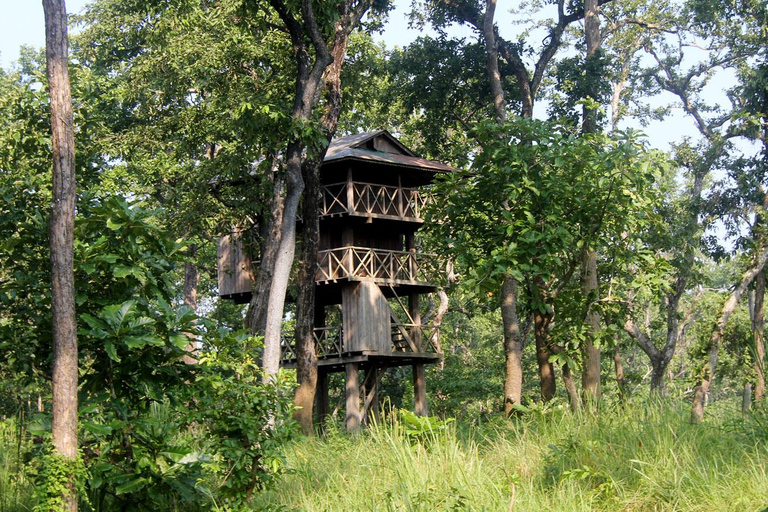 3 nuits d&#039;aventure à Chitwan avec 1 nuit dans une tour de la jungle