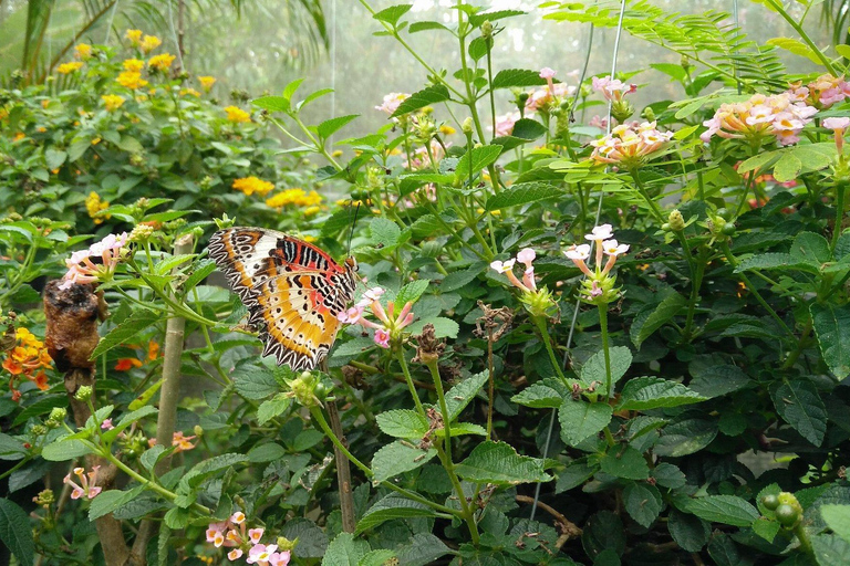 Chiang Dao Höhle &amp; 5 Bergstammdörfer