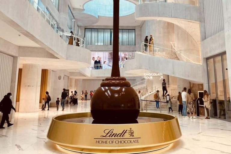 Tour del centro e pranzo, tour in barca, museo Lindt, funivia