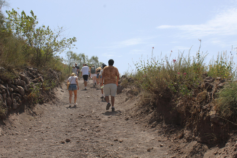 Z Neapolu: Pompeje i Wezuwiusz z lekcją robienia pizzy