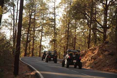 Tenerife: Sunset - 3H Buggy tour of Teide SUNSET 2seats