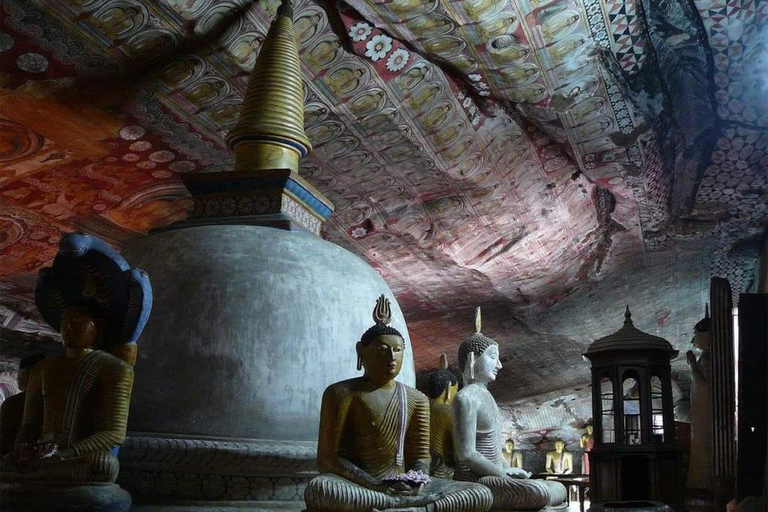 Sigiriya &amp; Dambulla dagtour vanuit Colombo met lunch