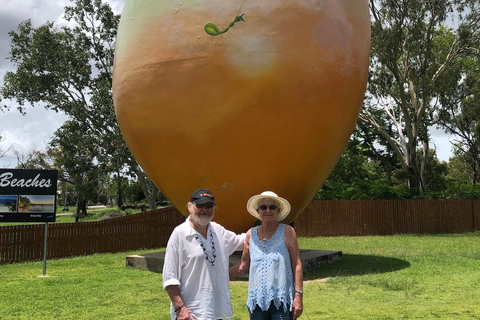 艾尔利海滩：鲍恩海滩与海鲜之旅