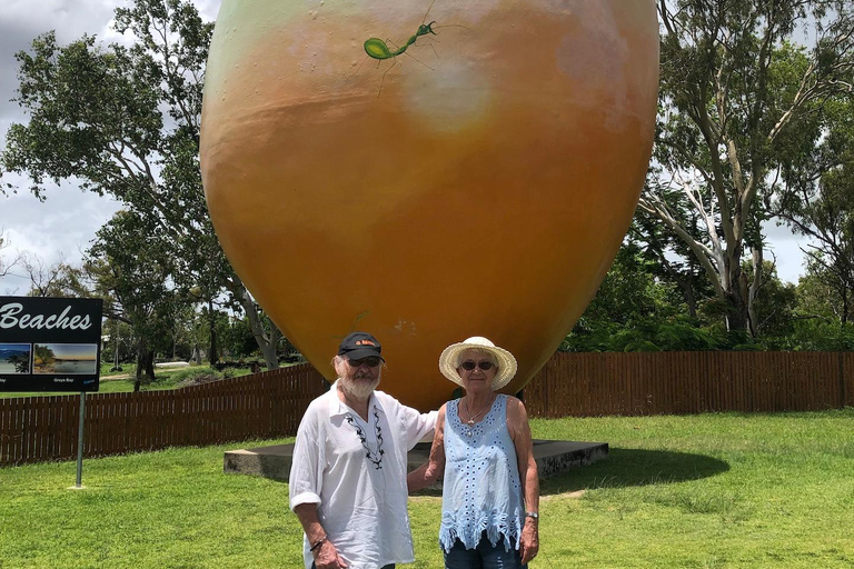 艾尔利海滩：鲍恩海滩与海鲜之旅