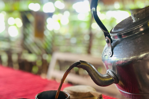 Moshi: Materuni waterval en koffietour met lokale lunch