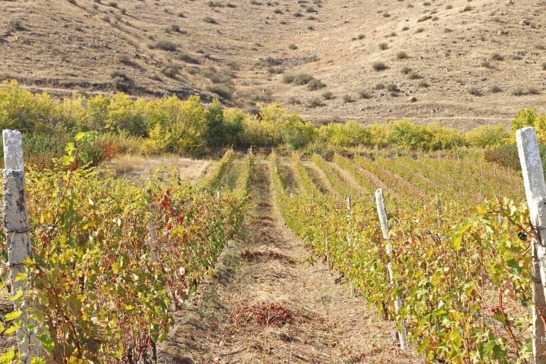 Wijnproeven in Areni Armenië: Een symfonie van smaken