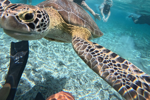 3 Gilis Snorkeling Tour Start Gili Air
