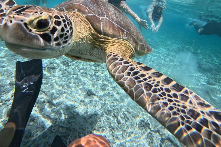 3 Gilis Snorkeling Tour Start Gili Air