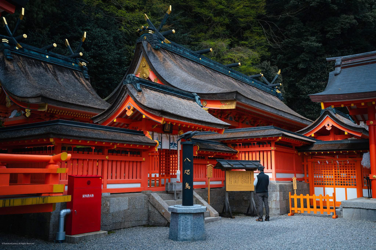 Guided Wakayama Heritage & Forest Trails with Hotel Pickup