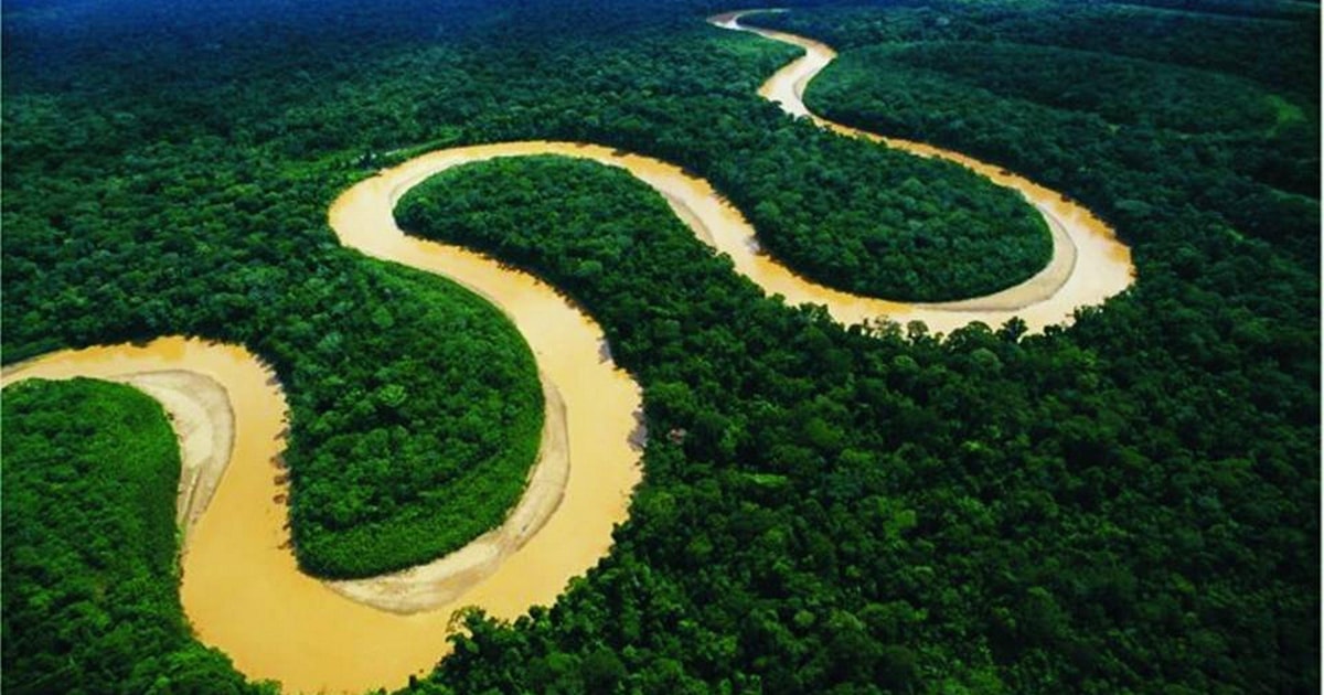 Iquitos Amazoneregenwoud 2 daagse Tour GetYourGuide iquitos-amazoneregenwoud-2-daagse-tour-getyourguide