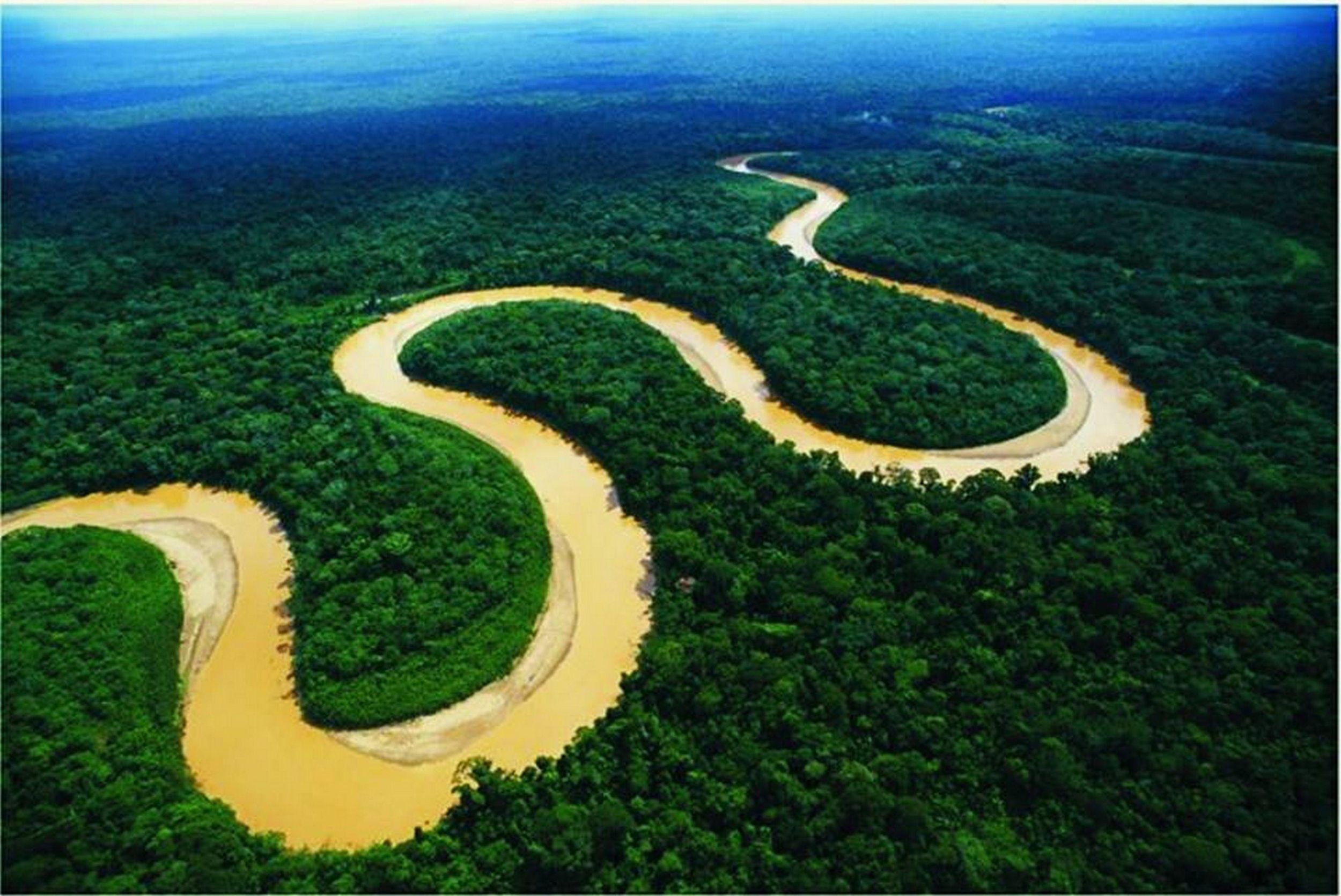 Iquitos: Amazonas Regenwald 2-Tages Tour