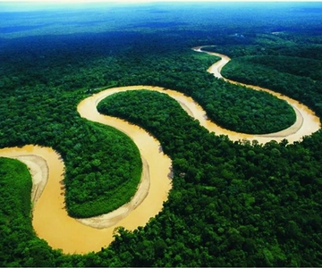 Iquitos: Tour di 2 giorni nella foresta amazzonica