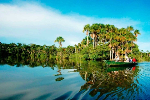 Tambopata : Lago Sandoval et Colpa de Loros 3 joursEco jungla 3 jours 2 nuits