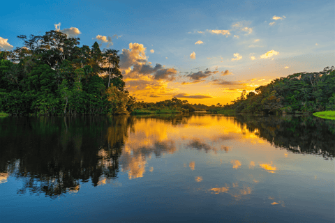Manu Weekend Jungle Tour: 3-Day Amazon Wildlife Experience