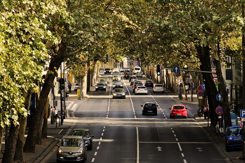 Serviço de motorista de dia inteiro