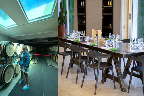Izmir: Urla Wine Tasting and Vineyard Tour Self Arrival Tasting and Vineyard Tour