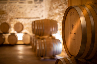 Visita alla cantina e degustazione