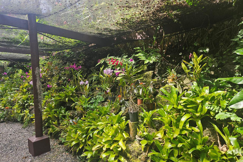 Najlepsze atrakcje Nadi