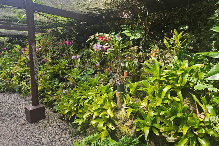 Najlepsze atrakcje Nadi