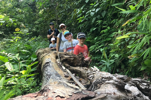 Chiang Rai Trek: 4 Hilltribes Villages & Waterfall Only Walk