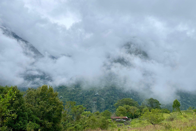 Farallones de Cali: Half a day Pance Hike and River