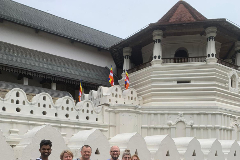 Sacred Highlands: South to All-Inclusive Kandy Full Day Trip