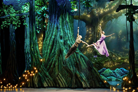 岘港：汉江晚餐游船之旅（含仙沙表演）岘港：汉江晚餐游船之旅，含仙沙表演