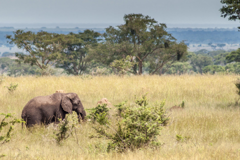 Entebbe: Safari de 3 días por el Parque Nacional de las cataratas Murchison