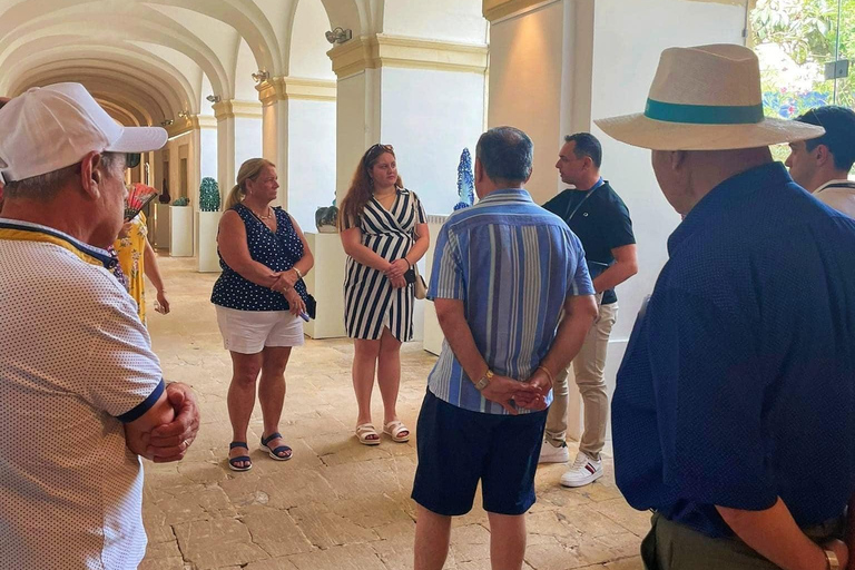 Valletta: 2.5h Walk with Local Guide, History & Stories