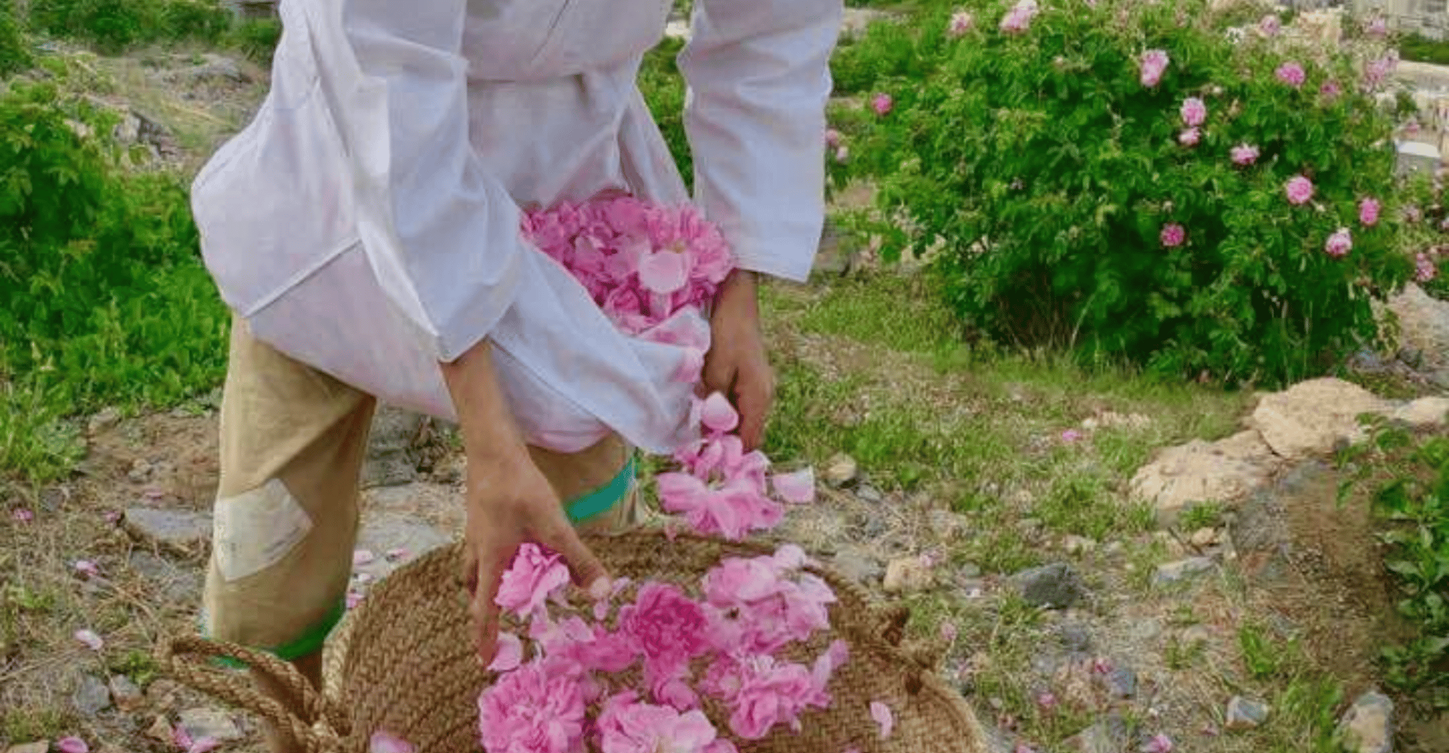 Nizwa and Jabal Akhdar- Full-Day Private Tour - Hizvo